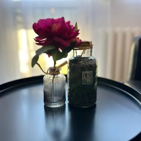 Проживание в семье Centralna